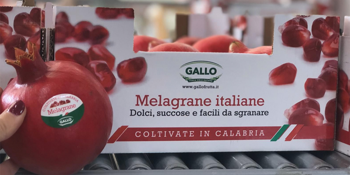 Op Agricor, la campagna delle melagrane parte con dieci giorni d’anticipo